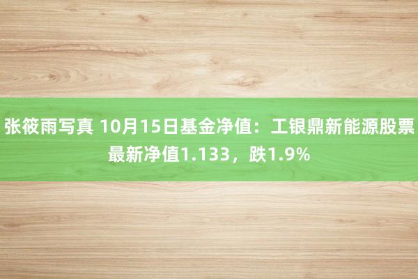 张筱雨写真 10月15日基金净值：工银鼎新能源股票最新净值1.133，跌1.9%