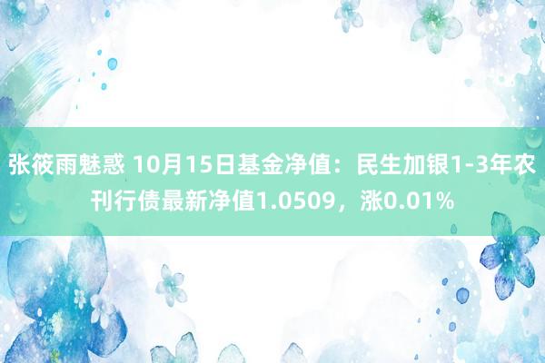 张筱雨魅惑 10月15日基金净值：民生加银1-3年农刊行债最新净值1.0509，涨0.01%