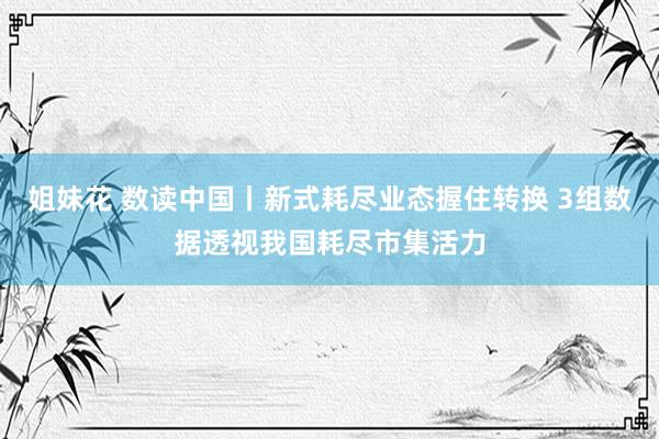 姐妹花 数读中国丨新式耗尽业态握住转换 3组数据透视我国耗尽市集活力