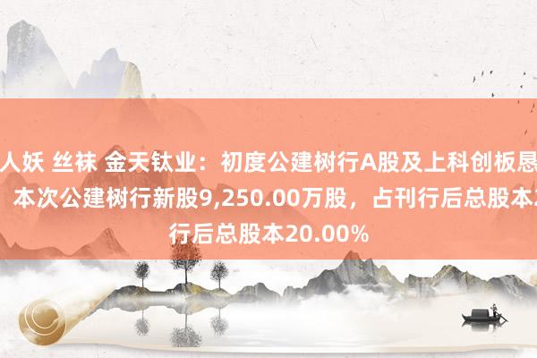 人妖 丝袜 金天钛业：初度公建树行A股及上科创板恳求获批，本次公建树行新股9，250.00万股，占刊行后总股本20.00%