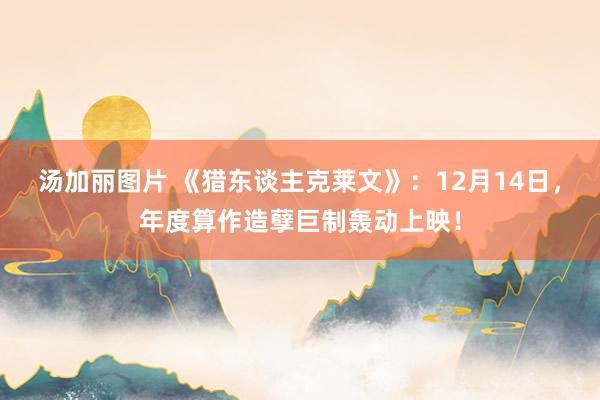 汤加丽图片 《猎东谈主克莱文》：12月14日，年度算作造孽巨制轰动上映！