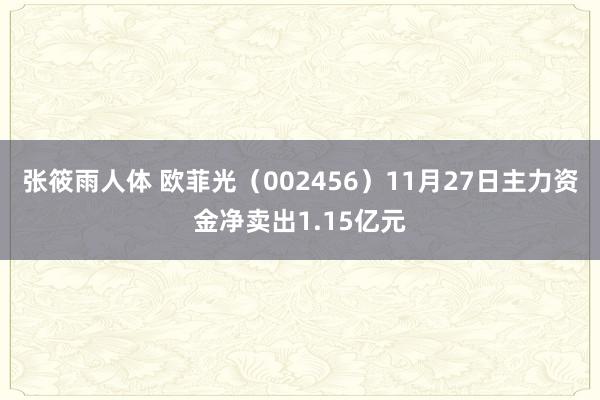 张筱雨人体 欧菲光（002456）11月27日主力资金净卖出1.15亿元