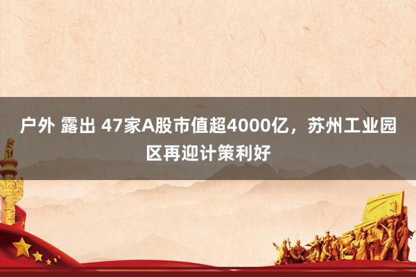 户外 露出 47家A股市值超4000亿，苏州工业园区再迎计策利好