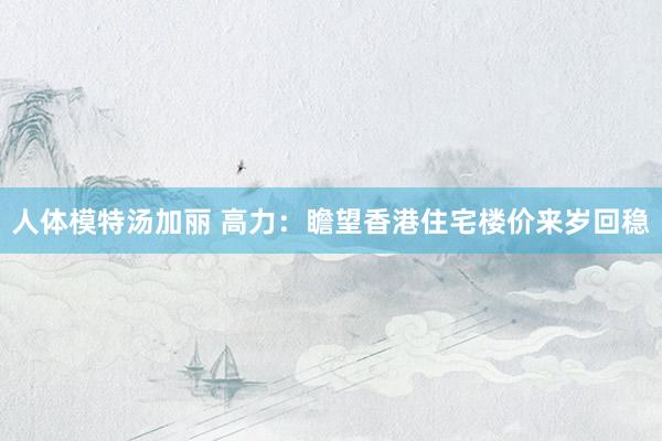 人体模特汤加丽 高力：瞻望香港住宅楼价来岁回稳