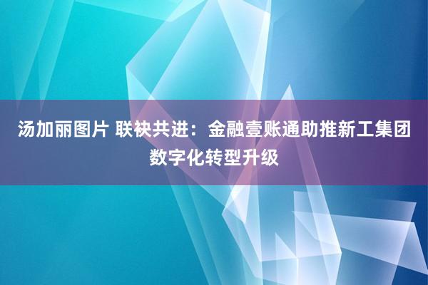 汤加丽图片 联袂共进：金融壹账通助推新工集团数字化转型升级