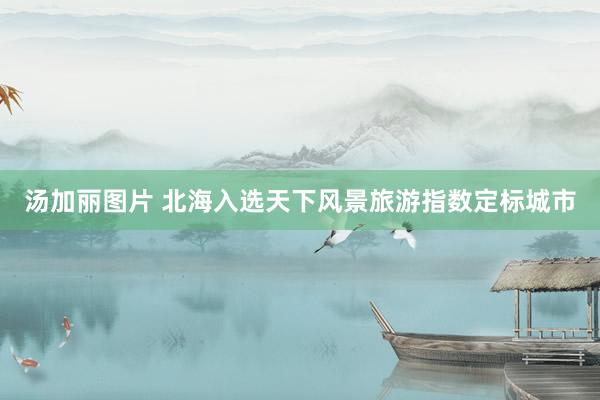 汤加丽图片 北海入选天下风景旅游指数定标城市