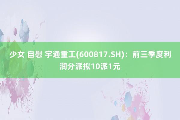 少女 自慰 宇通重工(600817.SH)：前三季度利润分派拟10派1元