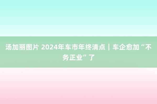 汤加丽图片 2024年车市年终清点｜车企愈加“不务正业”了