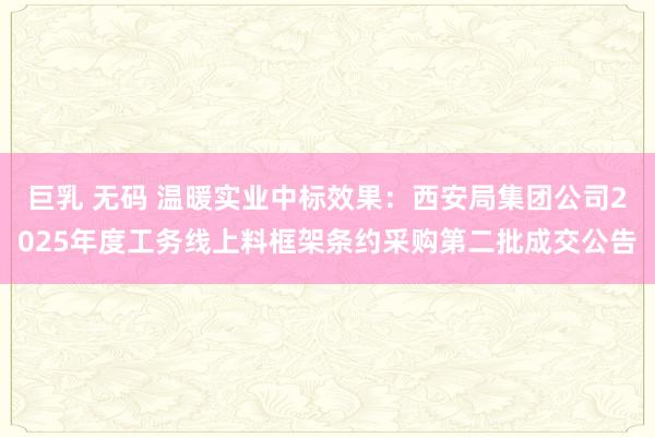 巨乳 无码 温暖实业中标效果：西安局集团公司2025年度工务线上料框架条约采购第二批成交公告