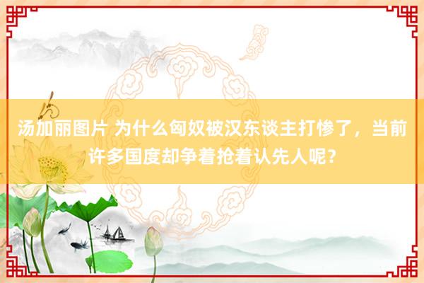汤加丽图片 为什么匈奴被汉东谈主打惨了，当前许多国度却争着抢着认先人呢？
