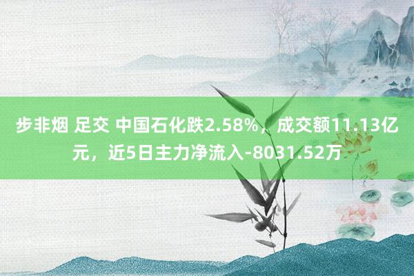 步非烟 足交 中国石化跌2.58%，成交额11.13亿元，近5日主力净流入-8031.52万