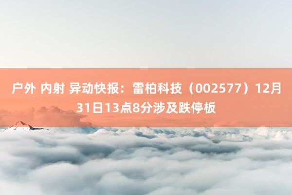 户外 内射 异动快报：雷柏科技（002577）12月31日13点8分涉及跌停板