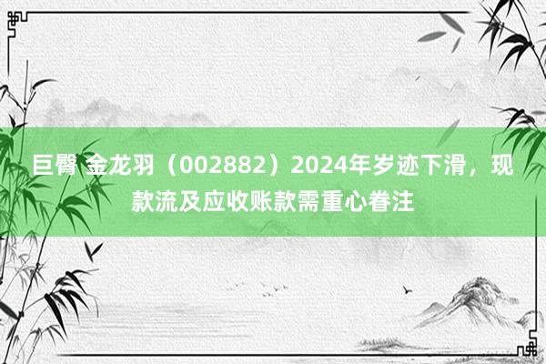 巨臀 金龙羽（002882）2024年岁迹下滑，现款流及应收账款需重心眷注