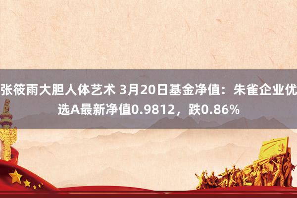 张筱雨大胆人体艺术 3月20日基金净值：朱雀企业优选A最新净值0.9812，跌0.86%