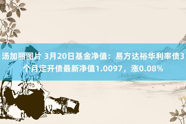 汤加丽图片 3月20日基金净值：易方达裕华利率债3个月定开债最新净值1.0097，涨0.08%