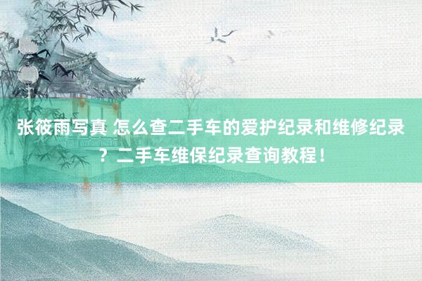 张筱雨写真 怎么查二手车的爱护纪录和维修纪录？二手车维保纪录查询教程！