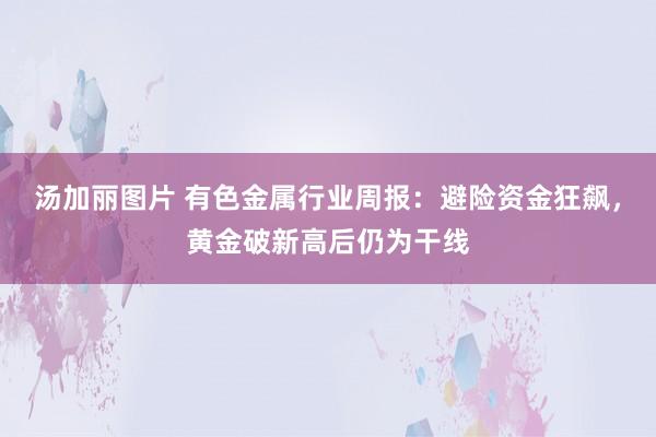 汤加丽图片 有色金属行业周报:避险资金狂飙,黄金破新高后仍为干线