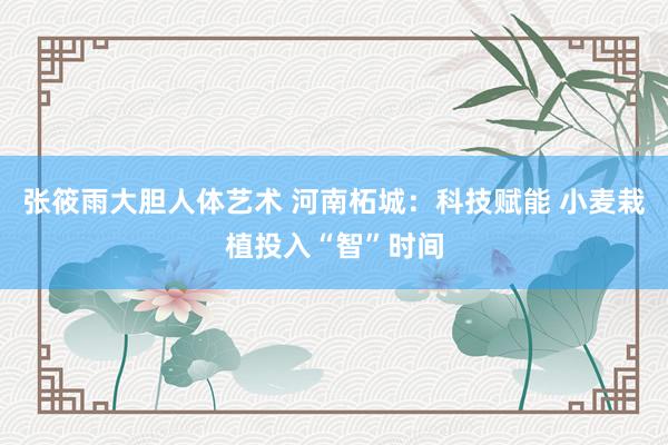 张筱雨大胆人体艺术 河南柘城：科技赋能 小麦栽植投入“智”时间