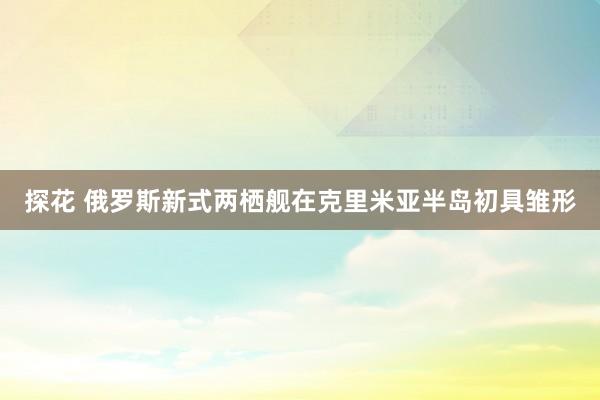探花 俄罗斯新式两栖舰在克里米亚半岛初具雏形